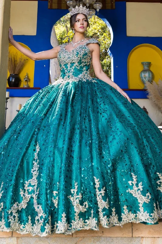 evening dress with bold design -Applique Glitter Ball Gown by Cinderella Couture 8024J